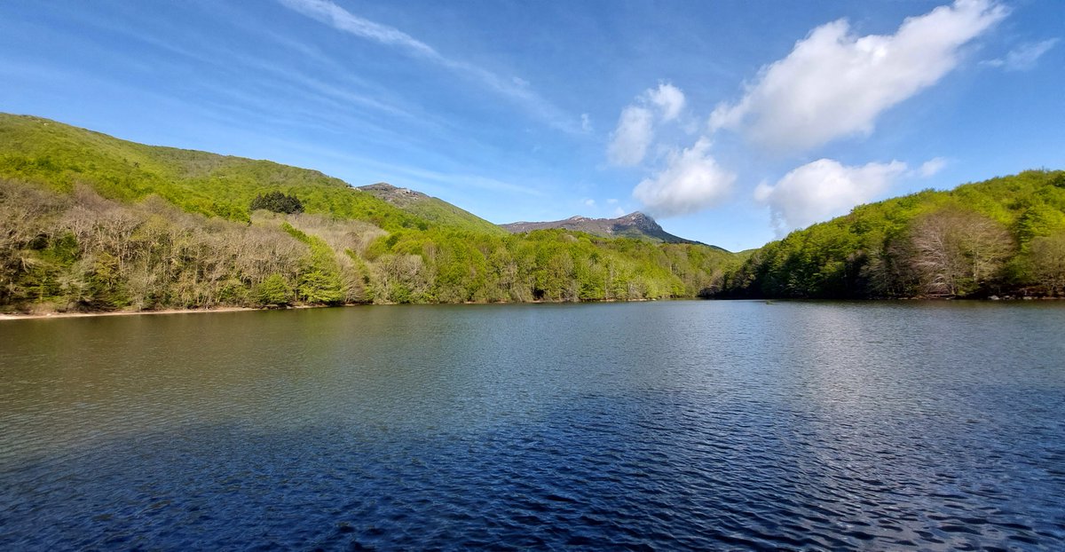 jordirodoreda3's tweet image. Comparatives amb 13/10/2023 i 01/05/2024.
Santa Fe del Montseny.