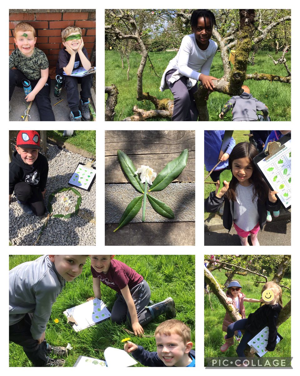 What a fabulous Outdoor Learning Day we’ve had! From developing our teamwork and communication skills to Science at it’s best; exploring microhabitats, mini-beasts and plants!   We are so lucky to have these beautiful surroundings right on our doorstep!🌺🌹🌷🌳🌸 @Hollymountbury