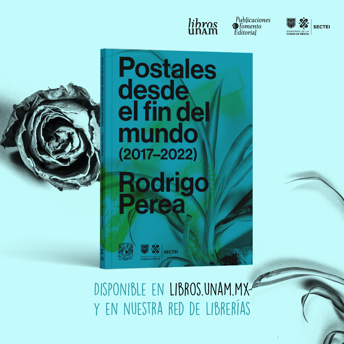 🔥¿Ya leíste las «Postales desde el fin del mundo (2017-2022)», de Rodrigo Perea @ruyperea? 🖼️✒️ Con este libro obtuvo el Premio Poesía Joven UNAM-SECTEI 2022, que puedes adquirir en este enlace. ➡️ bit.ly/4a5EYZ8 📚 @SECTEI_CDMX