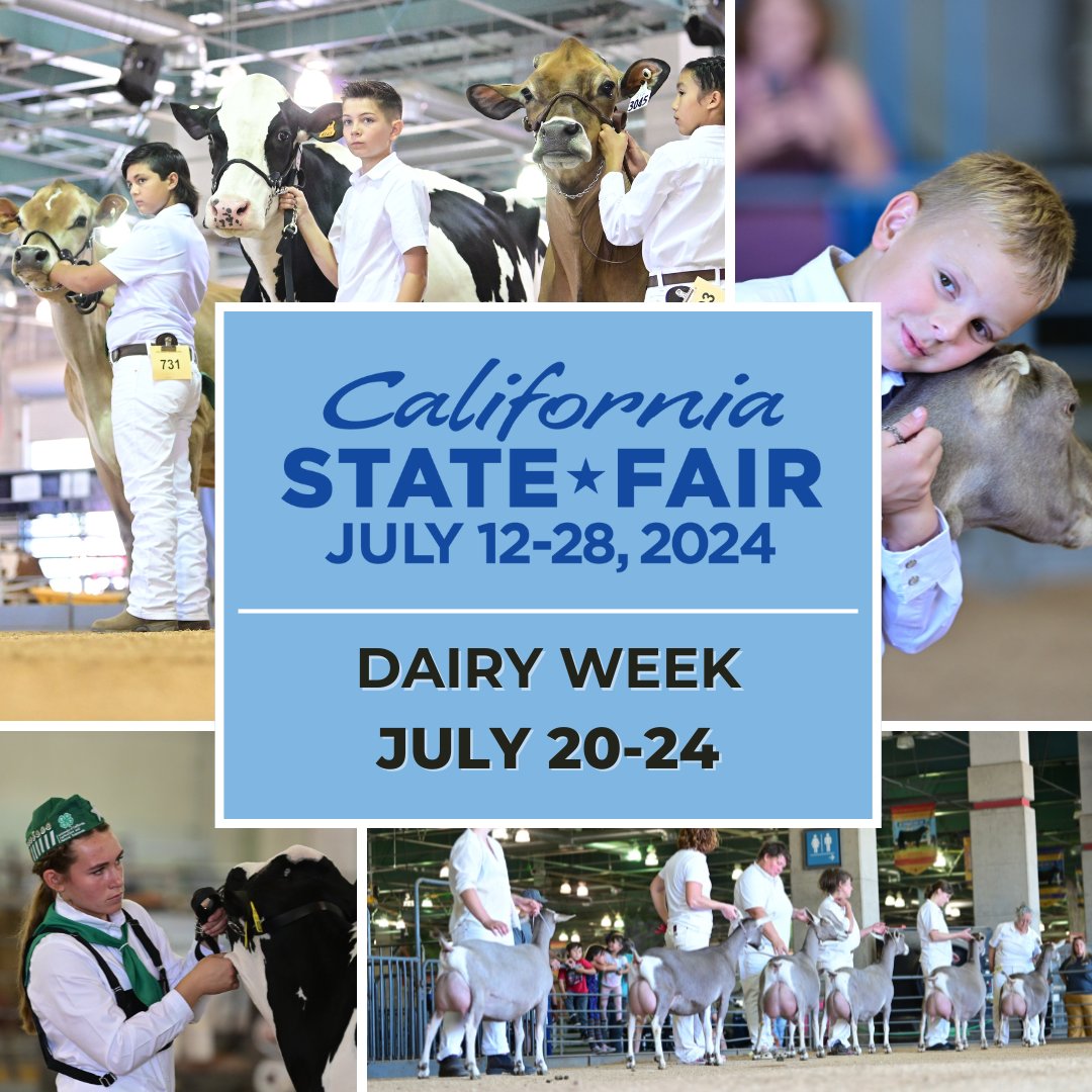 The #CAStateFair Livestock Competition Junior & Open Dairy Cattle and Dairy Goats divisions are open for entries! 🐮🐐 Dairy Week will be occurring July 20-24. Junior Livestock entries close June 12 and Open Livestock entries close June 19.