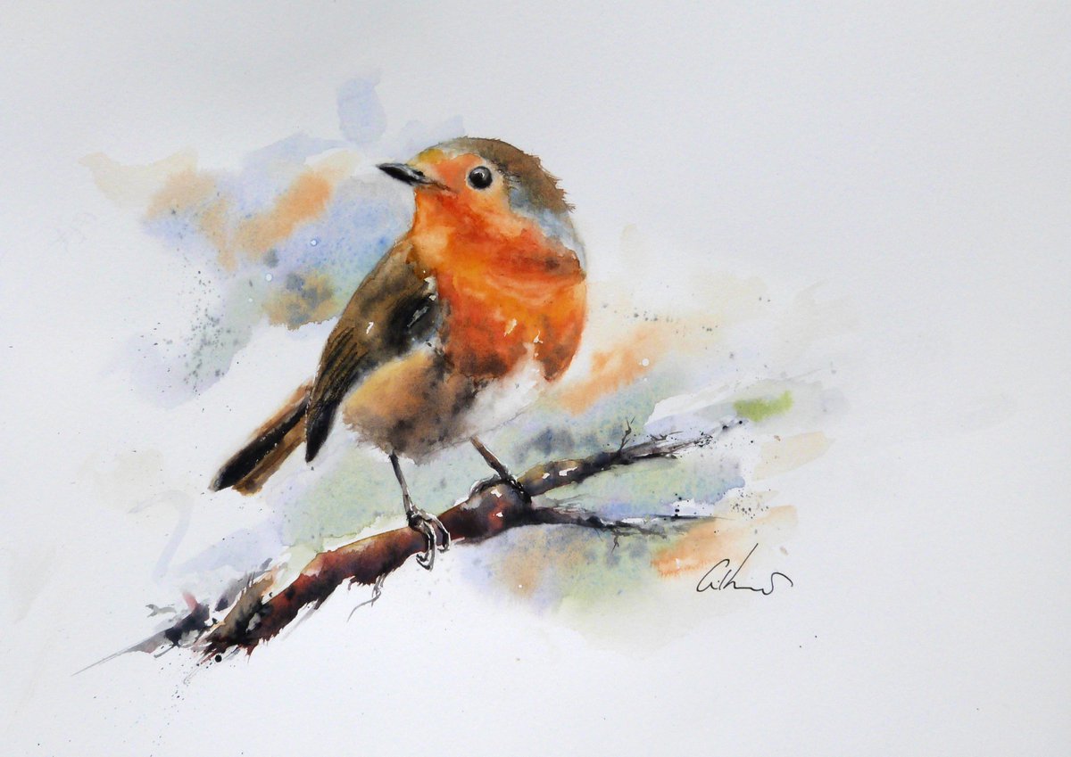 A Robin, watercolour. #watercolour #art