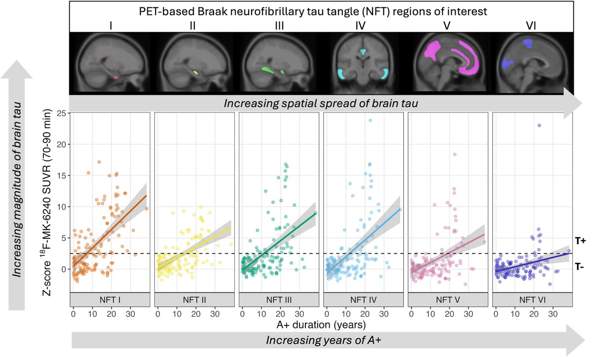 Cody et al. implement a novel time framework to characterize the accumulation of tau pathology and cognitive decline relative to amyloid onset in Alzheimer’s disease, explaining a considerable amount of heterogeneity in early disease progression. tinyurl.com/387n66xm