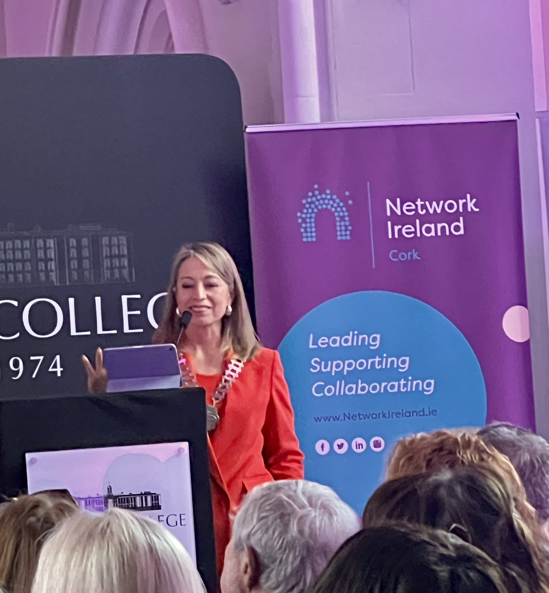 Brilliant talk by @NorahCasey for @NetworkCork . Loved the introduction by @susana_marambio & @SINEADODEARAF & all set in @griffithcollege ! Beautiful venue for a gig too..