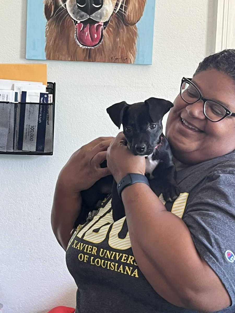 Yesterday I got to play with puppies at an animal rescue. My chihuahua didn’t appreciate it when I got home, but I had such fun.