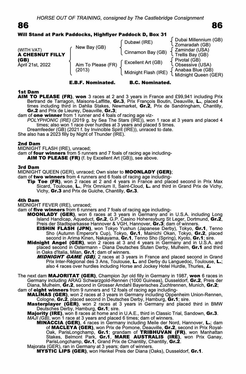 Hasmonean Racing are excited to announce the purchase of an incredibly well bred New Bay filly out of Group 3 and Listed winning mare ‘Aim to Please’. Having vetted clean and shortlisted by industry renowned bloodstock agent @JSBLOODSTOCK , the filly will be trained by