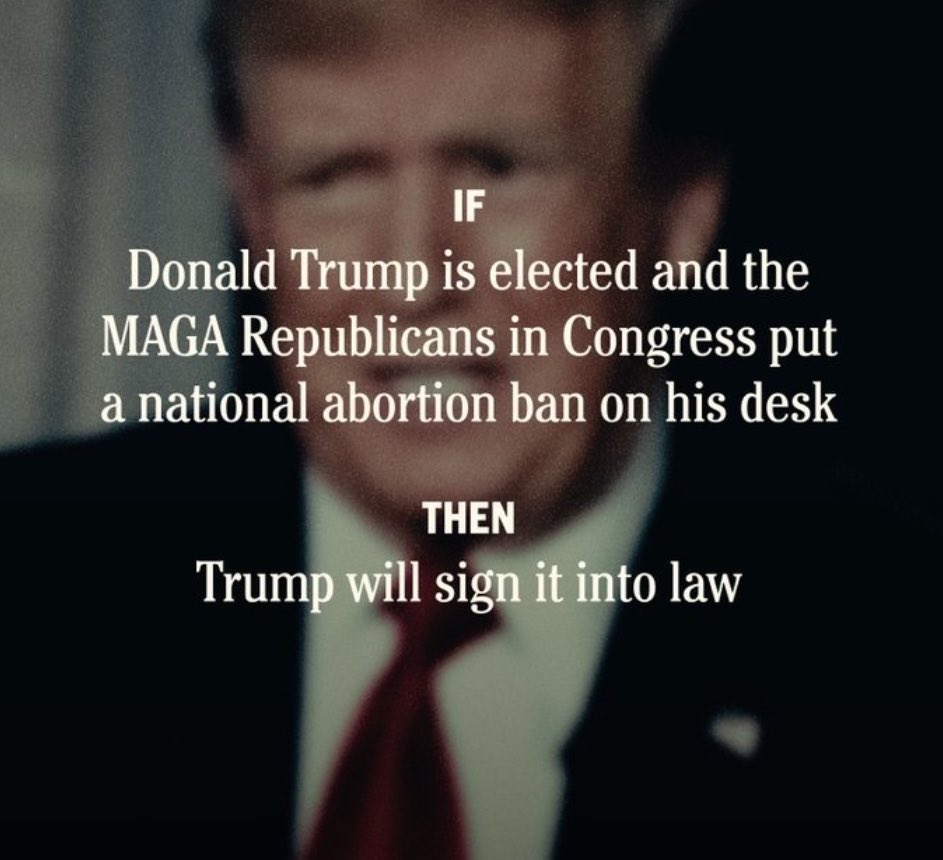 November's election will determine whether women in the United States have reproductive freedom or whether Trump and his MAGA allies continue to push their extreme anti-abortion agenda. #StopTrumpsAbortionPlan #DemCast #DemsUnited