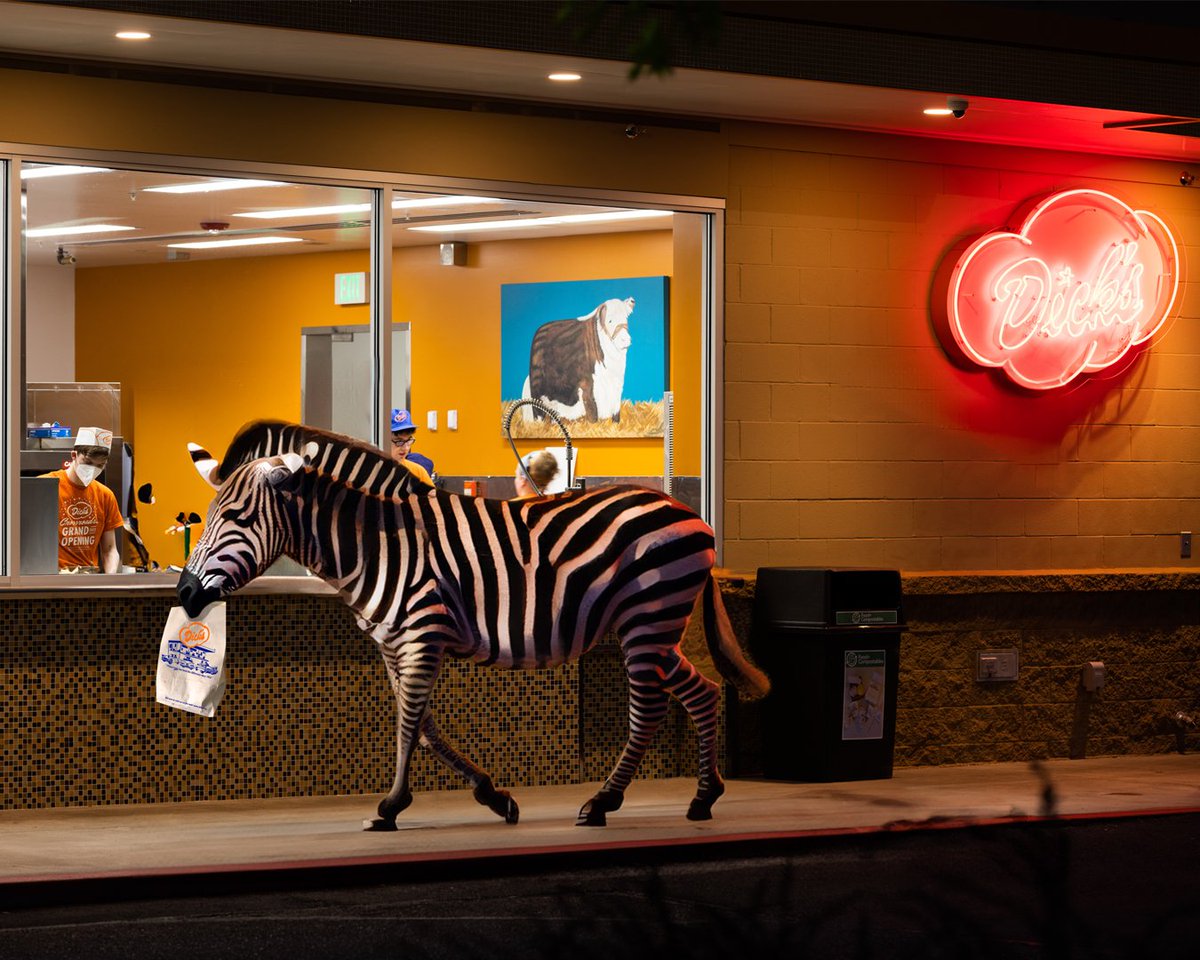Zebra spotted in Bellevue, living his best life. #bagofburgers #onthelam