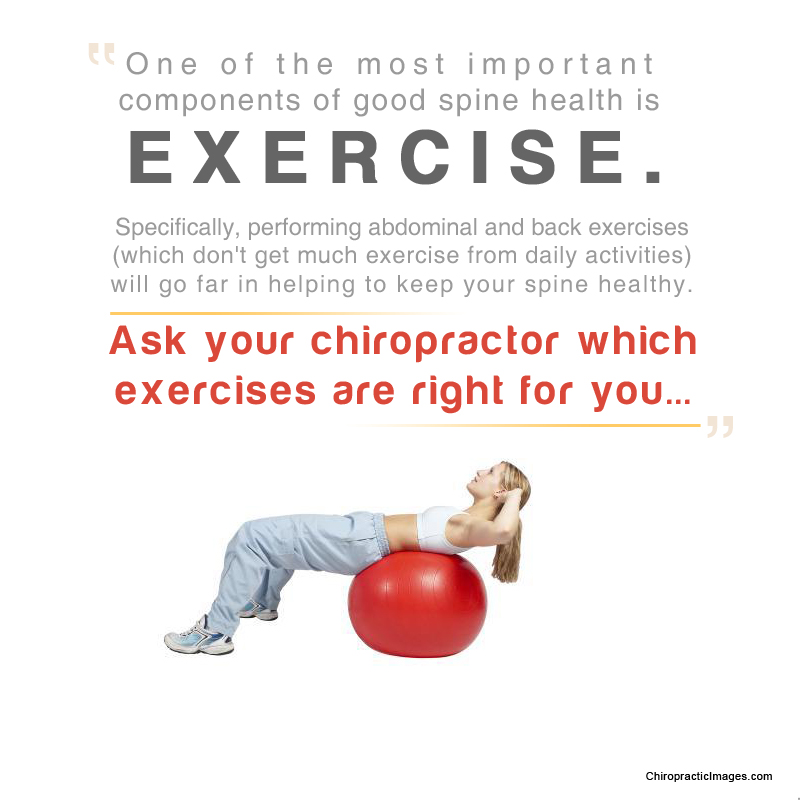 #Exercise #Chiropractic #Spine #SpineHealth