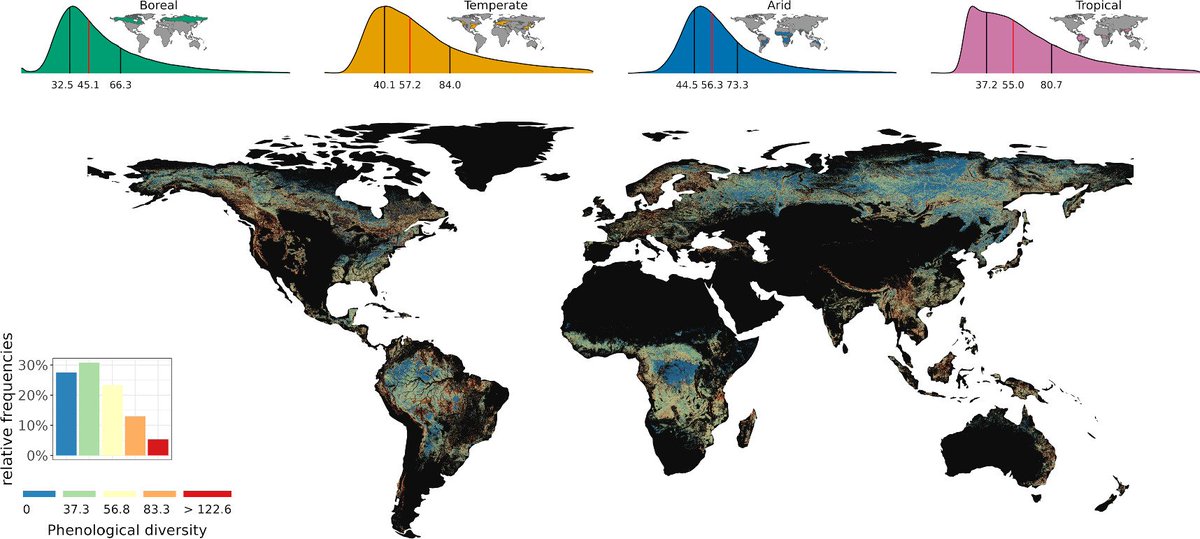 Patterns and trends in the spatial heterogeneity of land surface phenology of global forests by @MarcoG_eco iopscience.iop.org/article/10.108… A global-scale assessment of spatial patterns in the spatial heterogeneity of forest phenology. @GregDuveiller @alecescatti @EU_ScienceHub