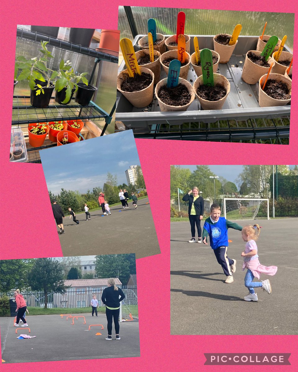 #FamilyLearning After cooking each family and staff member planted a sunflower seed, had a look in our new poly tunnel and enjoyed outdoor games with Beth ⁦@activeschoolsWD⁩ ☀️ ⁦@WDCEducation⁩