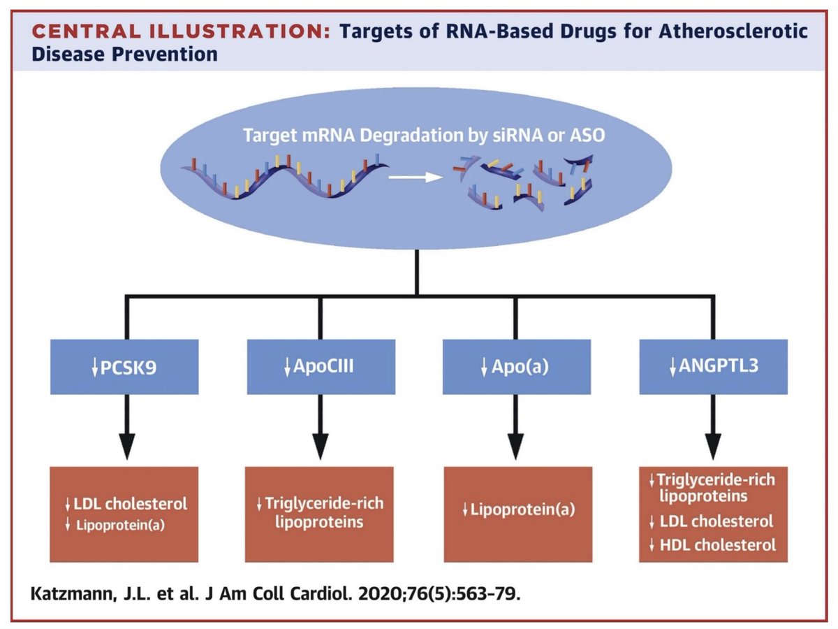 🎯 of RNA-Based drugs for atherosclerotic disease prevention 

#Cardiotwitter #MedTwitter #MedX #ACC2024