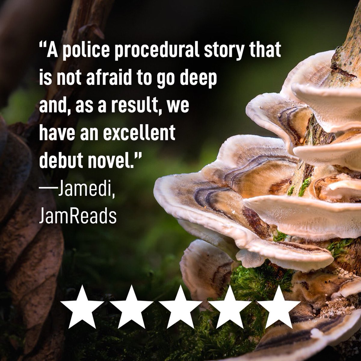 I was so appreciative of @jamediGwent for helping with the #MushroomBlues cover reveal, but then he dropped this 5-star review after launch, too! Gracias, amigo 🍄 BUY A COPY: Paperback: amzn.to/3VoOBNF Hardcover: amzn.to/3vs5nAO eBook/KU: a.co/d/fIKaQ9q