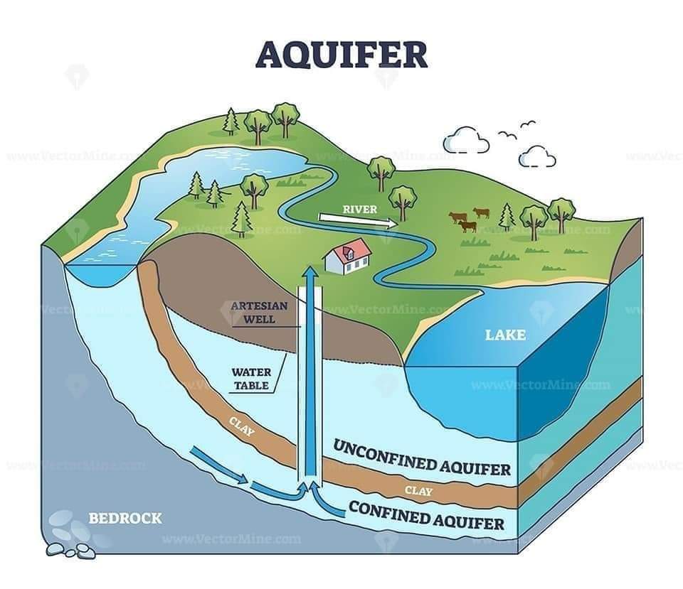 An aquifer is an underground layer of water-bearing rock, sediment, or soil that can yield water for wells and springs. It's essentially a natural reservoir of groundwater that can be tapped for human use.