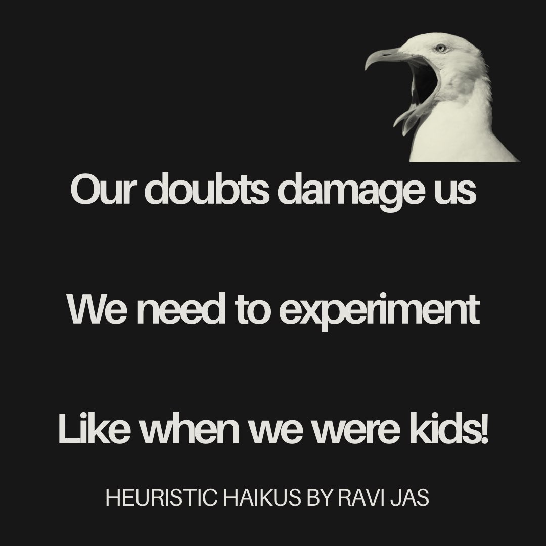 Heuristic Haikus by Ravi JAS