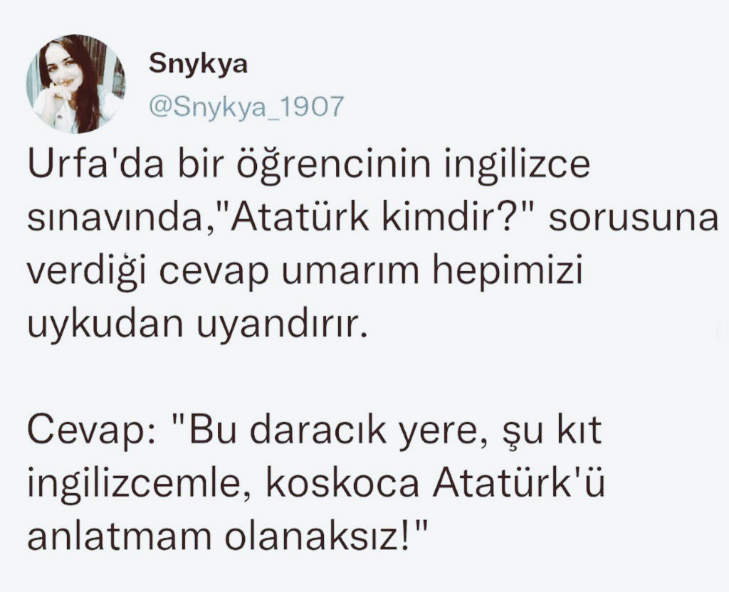 çocuk bile ülkede neyin para ettiğini anlamış. ders çalışmaktansa atatürk'ü istismar edip hedefe ulaşmanın daha kolay olduğunu öğrenmiş. tıpkı ülkenin siyasetçisi gibi.