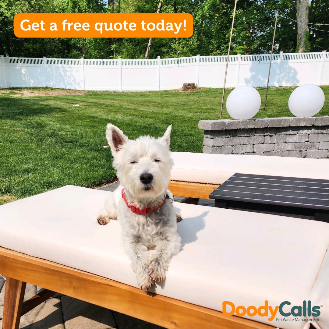Control the dog poop problem with the help of #DoodyCalls of Morris County. Our services are convenient and affordable. Call (973) 319-4809 for a quote.
 Doodycalls.com/Morris-county?… #morriscounty