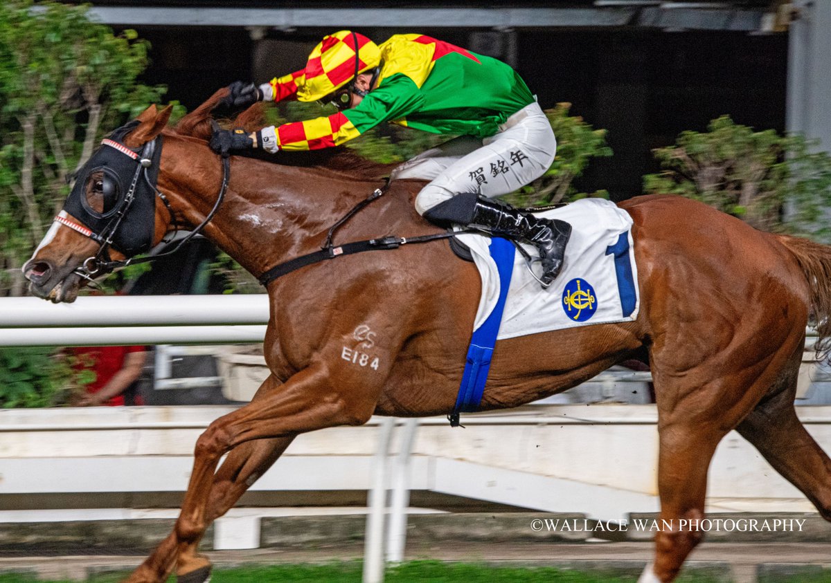 MEGA BONUS (Antoine Hamelin)
@AntoineHamelin 
#jockey #Horse #hkracing #hkphotographer #art #horsephoto #調教師 #horseracing #jockeys #騎手 #競馬場 #shatinracecourse #HorseRacing