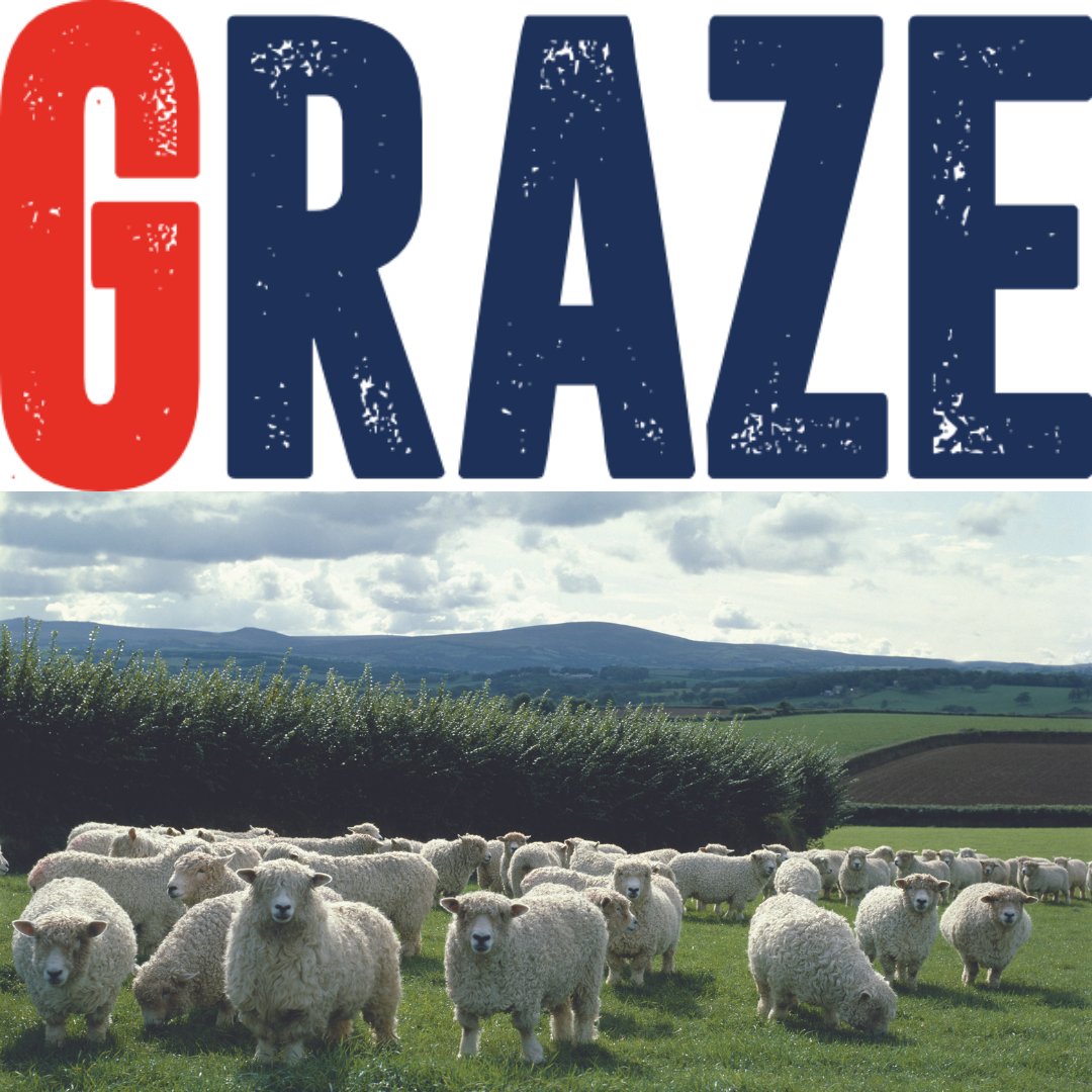 Have you seen our May Issue of Graze?

Read the full issue here:
bit.ly/3JHmouj

#BritishWool #Sheep #Wool