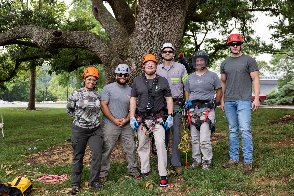 Climbed trees w/ the @UT_Herbert “Principles of Urban Forestry” class today! Our School of Natural Resources is preparing tomorrow’s leaders in forestry, wildlife and fisheries and careers in the OUTDOORS! 🍊