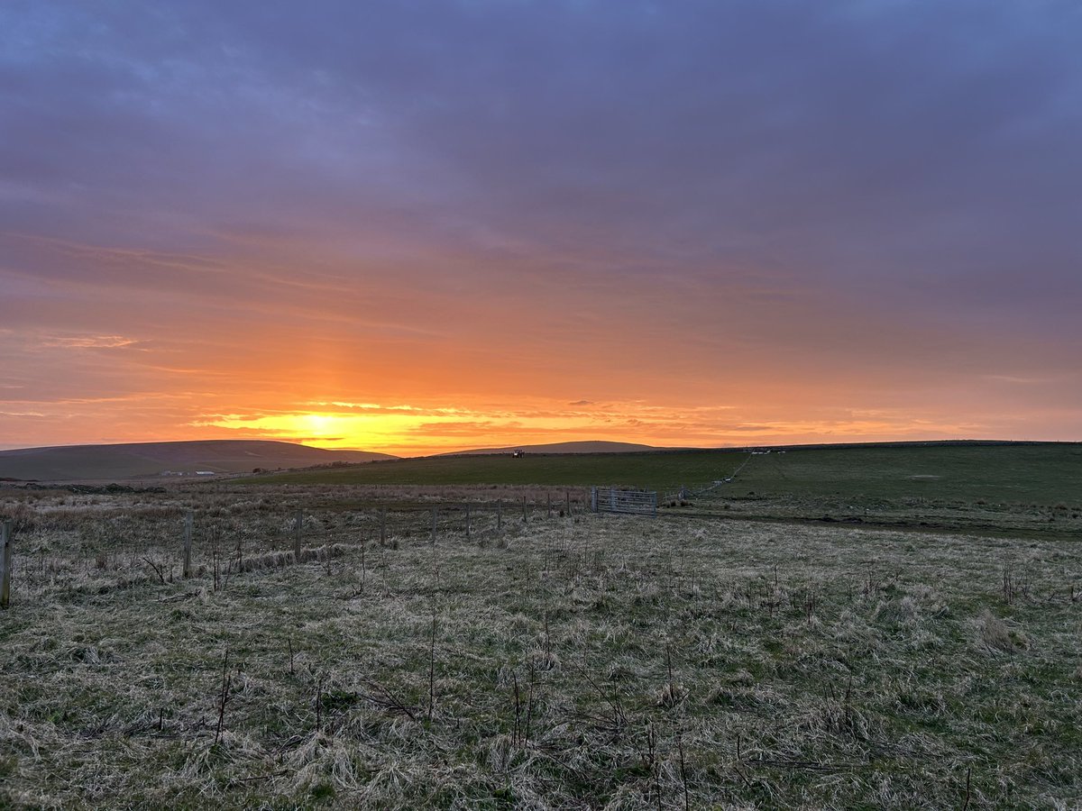 A beautiful evening #Orkney