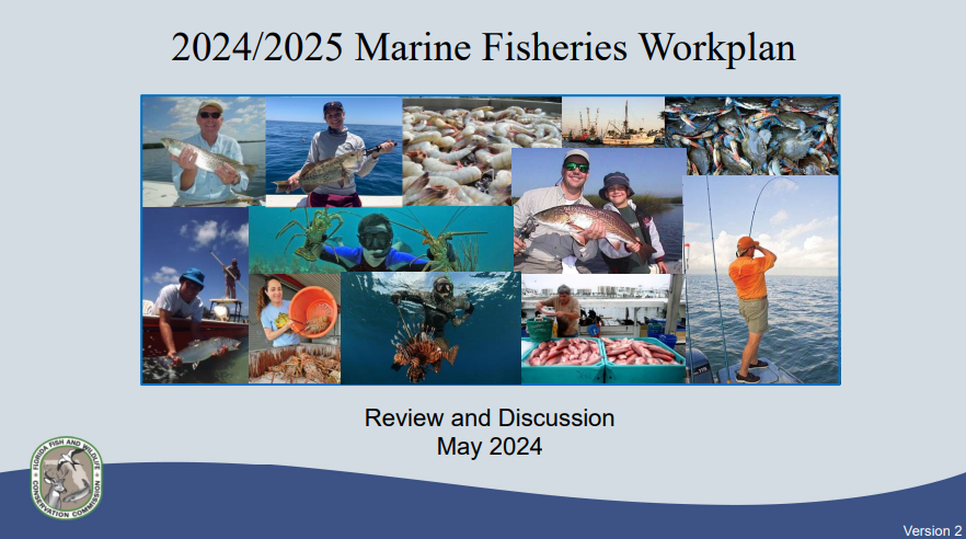 Now: Staff Report – Marine Fisheries Management Workplan. Presentation: bit.ly/3WmvKDj #FWC2024