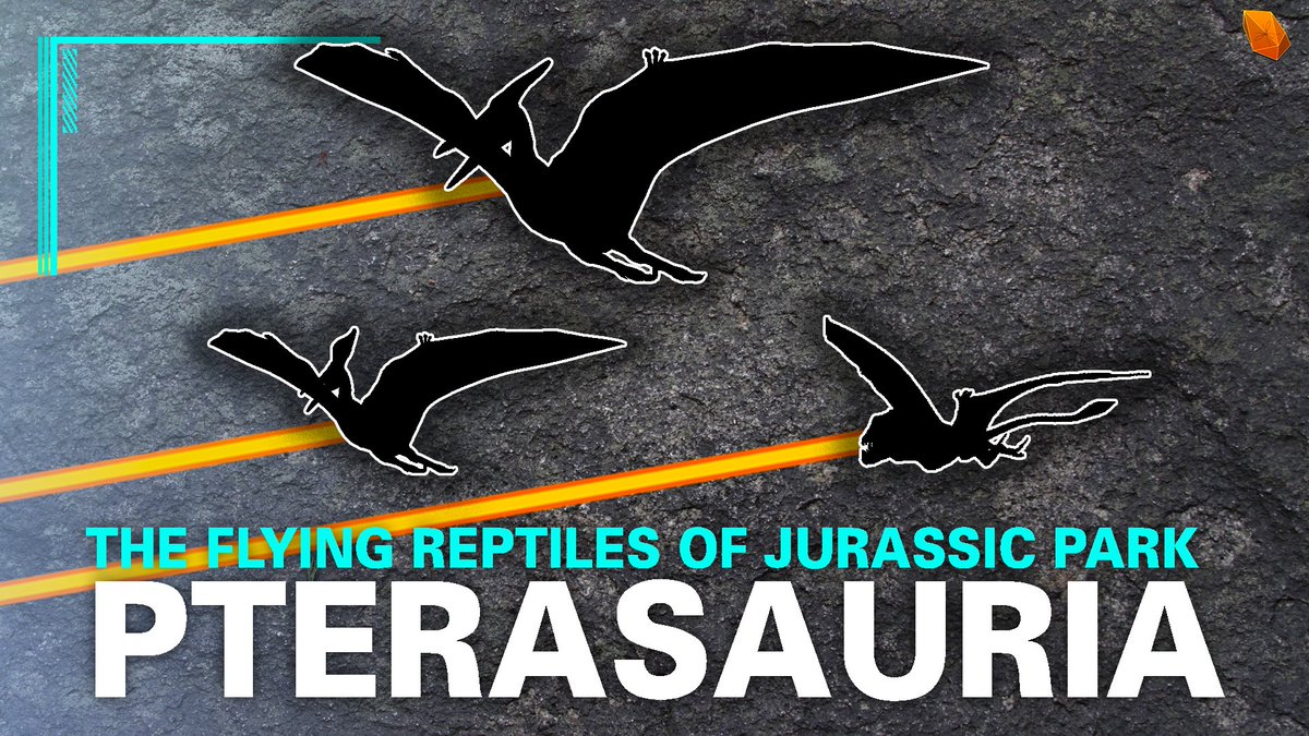 When Reptiles Ruled the Skies! | The Dinos of JP

youtu.be/zi-oNghmnNs

#JurassicPark #TheLostWorld #JurassicPark3 #JurassicWorld #JurassicWorldDominion #BringBackJWRPG #Pterosaur #Pteranodon #Dimorphodon #Quetzalcoatlus #Dinosaurs