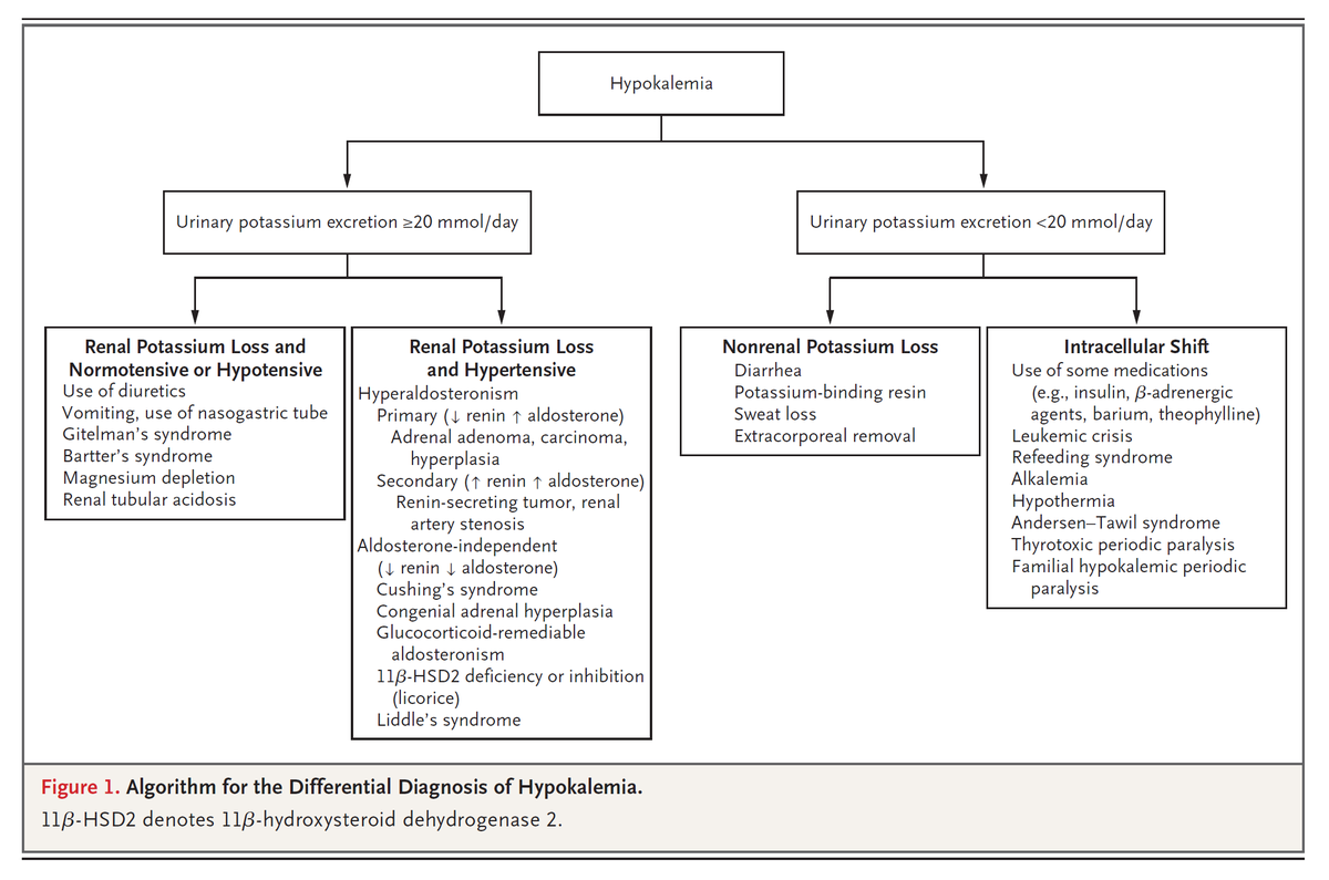 The quantification of urinary potassium excretion is generally the first step in diagnostic testing for hypokalemia. The use of either a 24-hour urine collection or a spot urine sample is preferred over the use of the transtubular potassium gradient. nej.md/4dc6CoQ