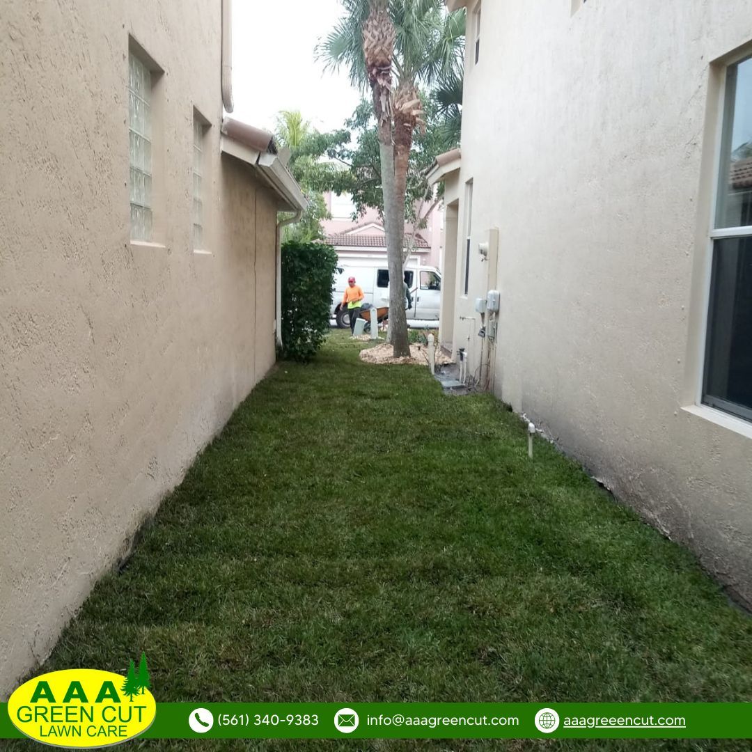 Transform Your Lawn with Our Sod Installation Services! 🌱✨ Tired of patchy, uneven grass? Our team at AAA Greencut specializes in professional sod installation to give you a lush, green lawn in no time. Contact us today to schedule your sod installation service!