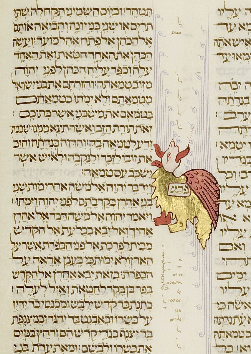 Joseph Ibn Hayyim marks the beginning of Torah portion Acharei Mot (אַחֲרֵי מוֹת) with this creature in red and gold. #ParashahPictures Bodleian Library MS Kennicott 1; 'The Kennicott Bible'; 1476 CE; La Coruña, Spain; f.68v @BDLSS