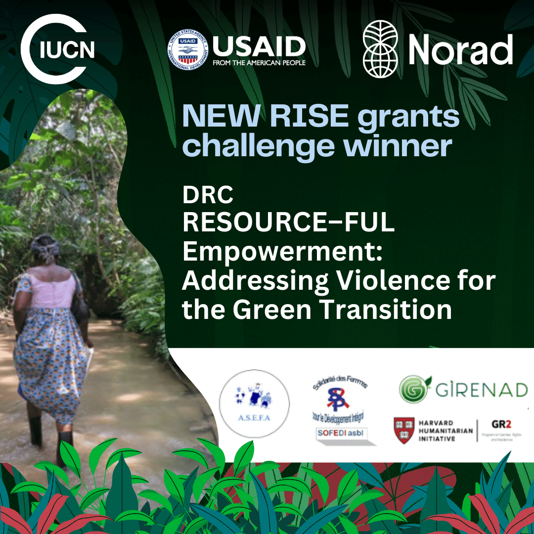 👏 au nouveau projet #RISEgrants RESSOURCES: Aborder la violence pour la transition verte. ⛏️ Découvrez comment #ASEFA @Girenad_ong #SOFEDI & @HHI abordent les #VBG dans l'exploitation minière artisanale pour la #TransitionVerte en RDC. 🔗gender.pub/winners