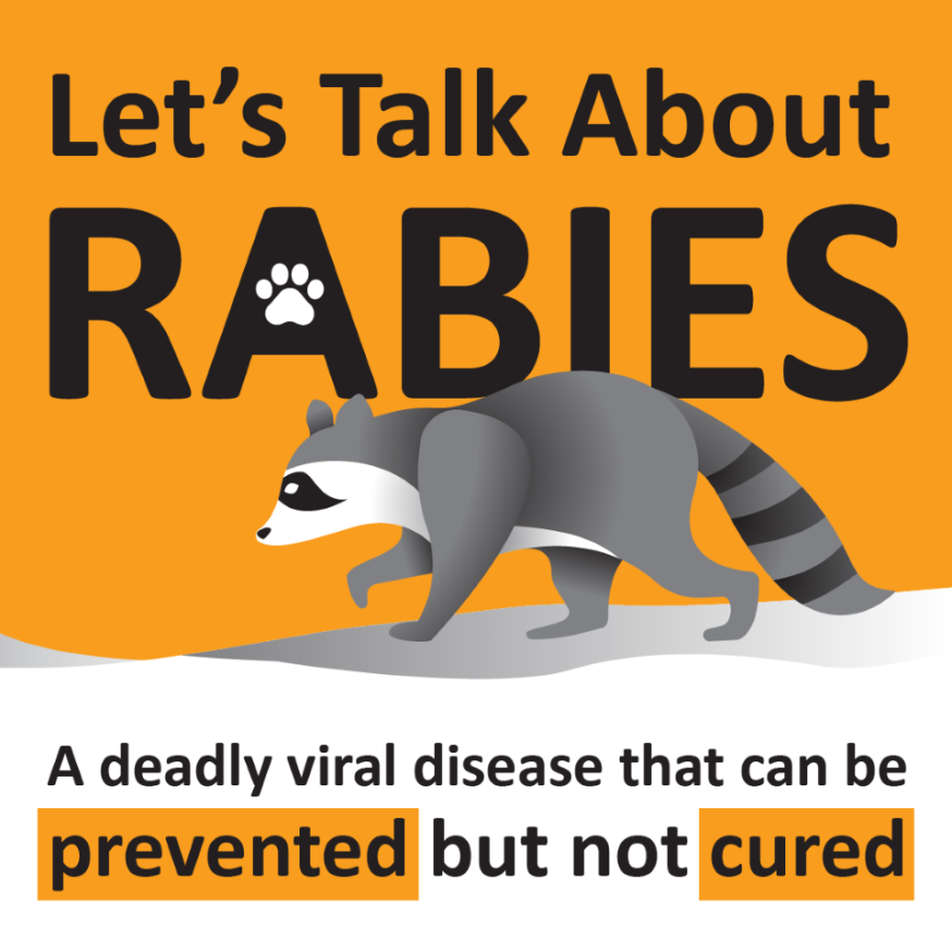 Be sure to keep your pets up to date on their rabies vaccine.

Keep an eye on pets and children when outdoors and be aware of wildlife. 

Learn more about #RabiesPrevention @ FlHealth.gov/Rabies