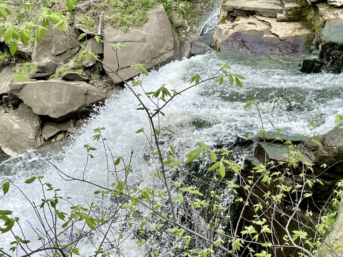 In addition to my quest to visit @MLB ballparks and presidential museums, I love to visit national parks. Between book talks today with the Geauga County League of Women Voters and the Hudson Library in Ohio, I stopped in at Cuyahoga National Park. Beautiful!