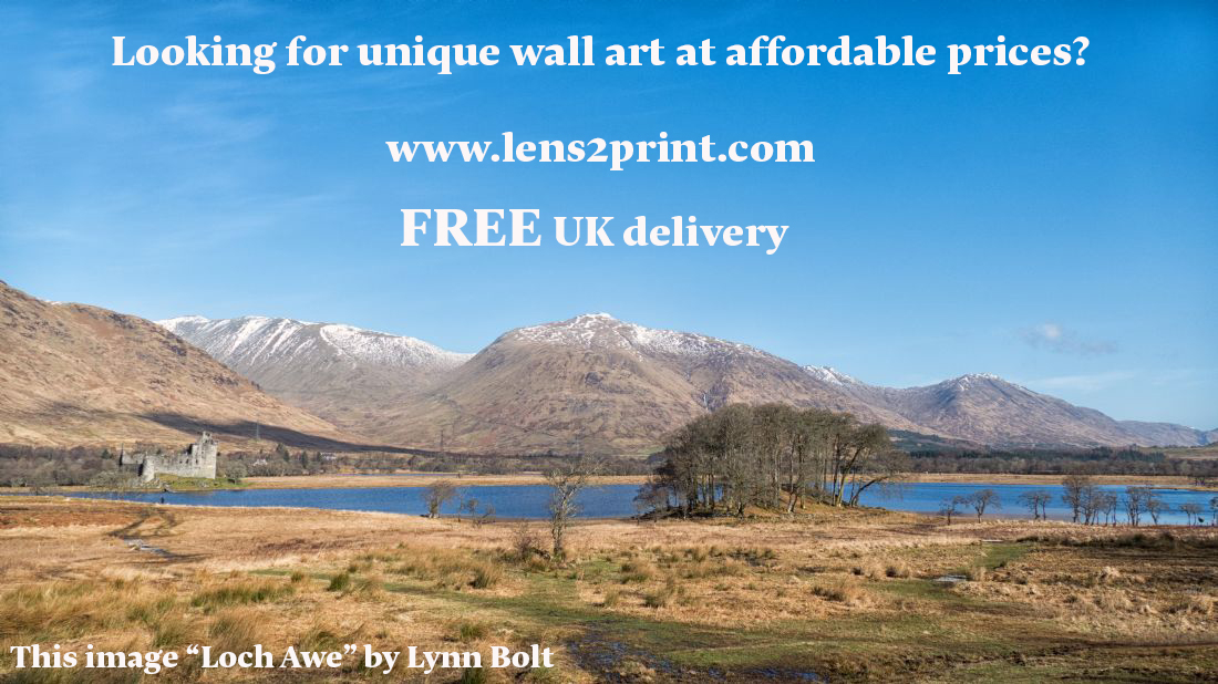 For more fabulous images from Lynn: bit.ly/LynnBolt lens2print.com QUALITY ART * GREAT VALUE * ETHICALLY DONE #lens2print #freeukshipping #ethical #canvasprints #bestvalue #firstforart #gifts #qualityart #bestprices #acrylicprint