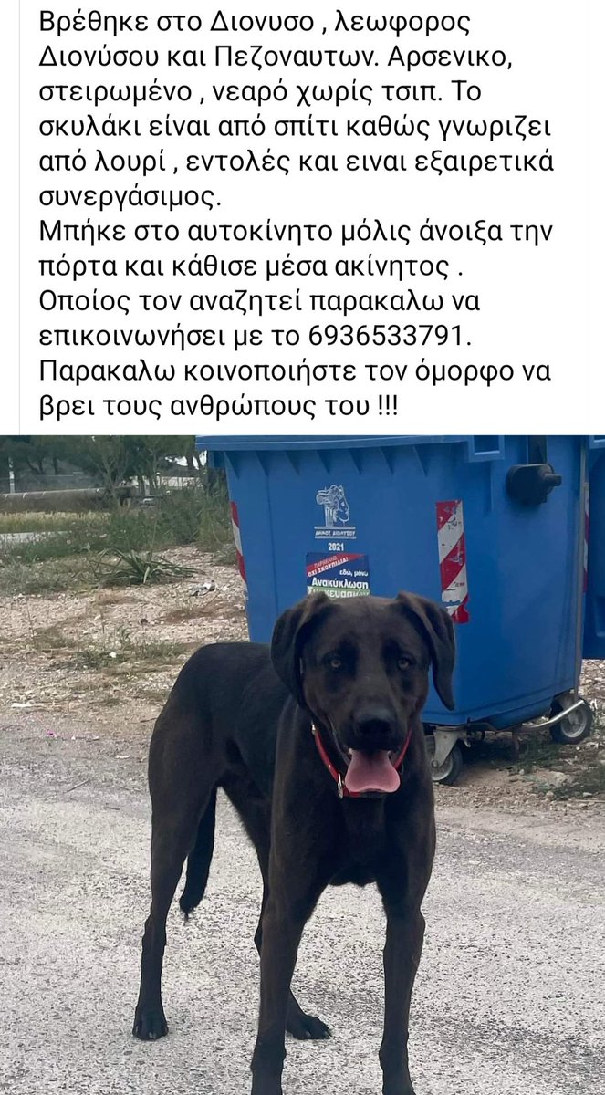 🆘️🆘️🆘️ Ο σκυλακος βρέθηκε στον Διόνυσο,λεωφόρος Διονύσου κ Πεζοναυτών! Νεαρό σε ηλικία χωρίς τσιπ! Φαίνεται ότι είναι από σπίτι καθώς γνωρίζει από λουρί κ εντολές! Όποιος τον αναζητεί να επικοινωνήσει με το τηλ Rt 🙏 🙏 🙏