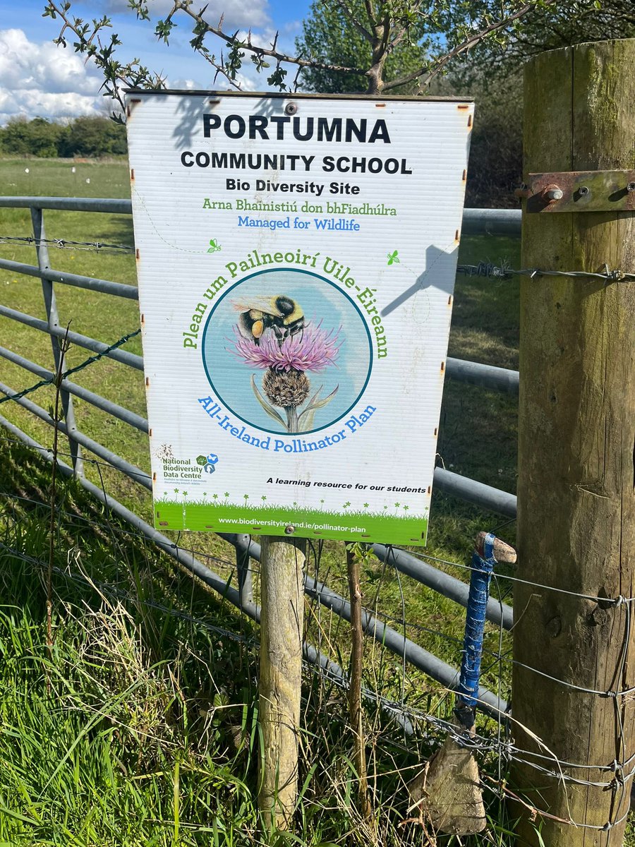 portumnacommsch's tweet photo. The beauty of summer at our school's biodiversity site 🫶Grateful to all who made it possible for staff and students to appreciate nature's wonders. Thank you! #SDGs #Take1programme @Take1_Programme @accsirl
@Education_Ire @NAPD_IE @Dept_ECC @OECDEduSkills https://t.co/GSlruX3Mri