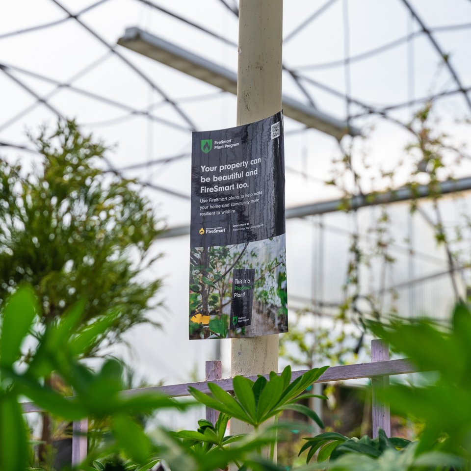 You can see the FireSmart Plant Program at more than 50 nurseries and garden centres across BC! This tagging program makes it easy to select fire-resilient plants for your property. Want to see if your local garden centre is participating? Visit: tinyurl.com/pvstdzux