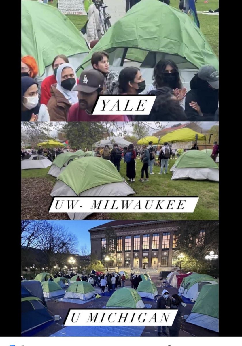 When the media tells you the anti Israeli 🇮🇱 university protests are spontaneous and organic but you wonder why all the tents and signs are the same? 🤔