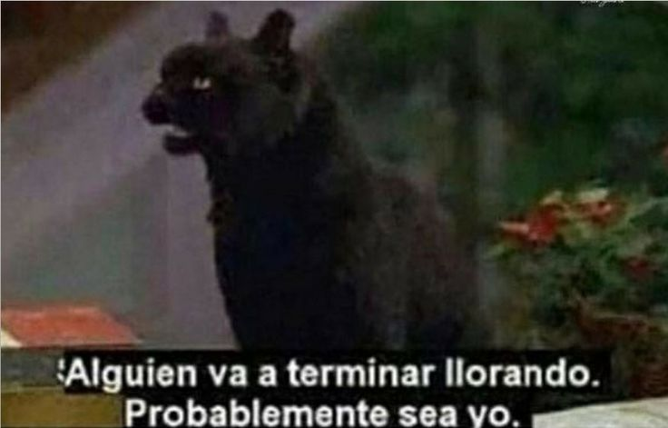 BookMakerKev's tweet image. Yo viendo un dorama: