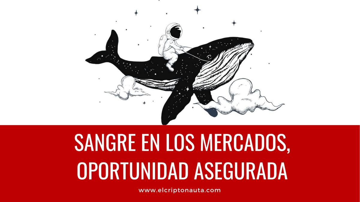 elcriptonauta's tweet image. Posible reversión de $BTC y a las puertas de una temporada de #altcoins 

youtu.be/e7NMW4vdgp4