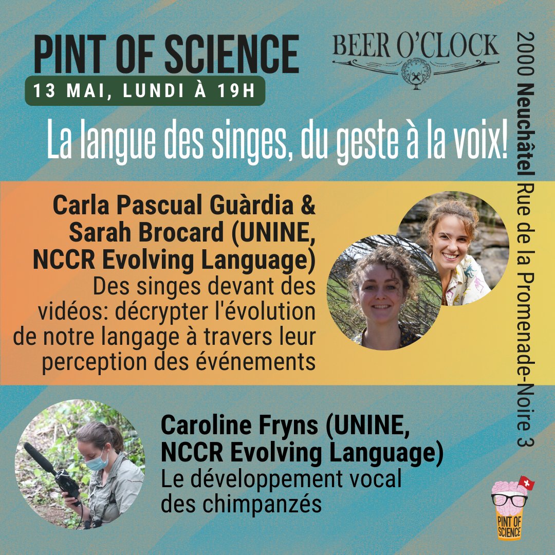 Pint of Science 🇨🇭🧠Festival & @NCCR_Language & @UniNeuchatel presents 🐵🙈🙉🙊🐒 La langue des singes, du geste à la voix! in Neuchâtel #PINT24 Programme ➡️pintofscience.ch/event/la-langu…