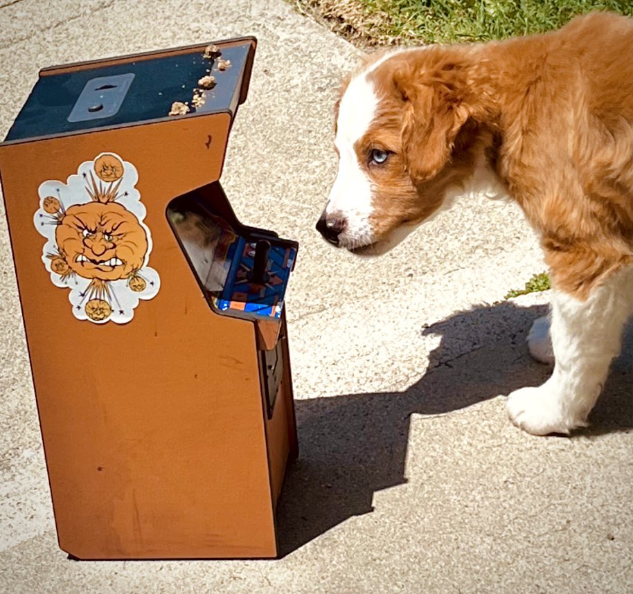 Our NWD (New Wave Dog) sez Frenzy x RepliCade are SOLD OUT!  

Congrats to everybody that snagged one &amp; thanks again for your tremendous support!￼

Berzerk x RepliCade is available now:

newwavetoys.com