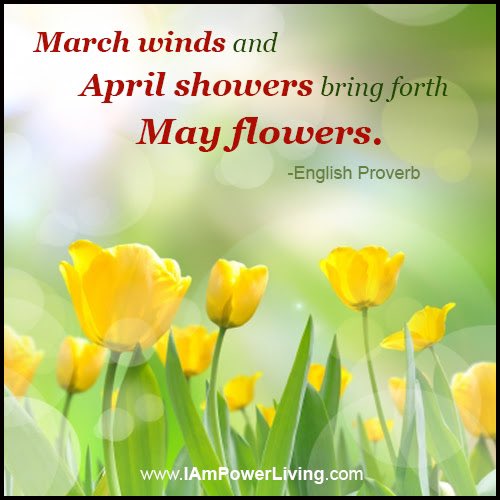 Welcome May! 
#MarchWinds #AprilShowers #MayFlowers #HelloMay
🌬️🌧️🌷
