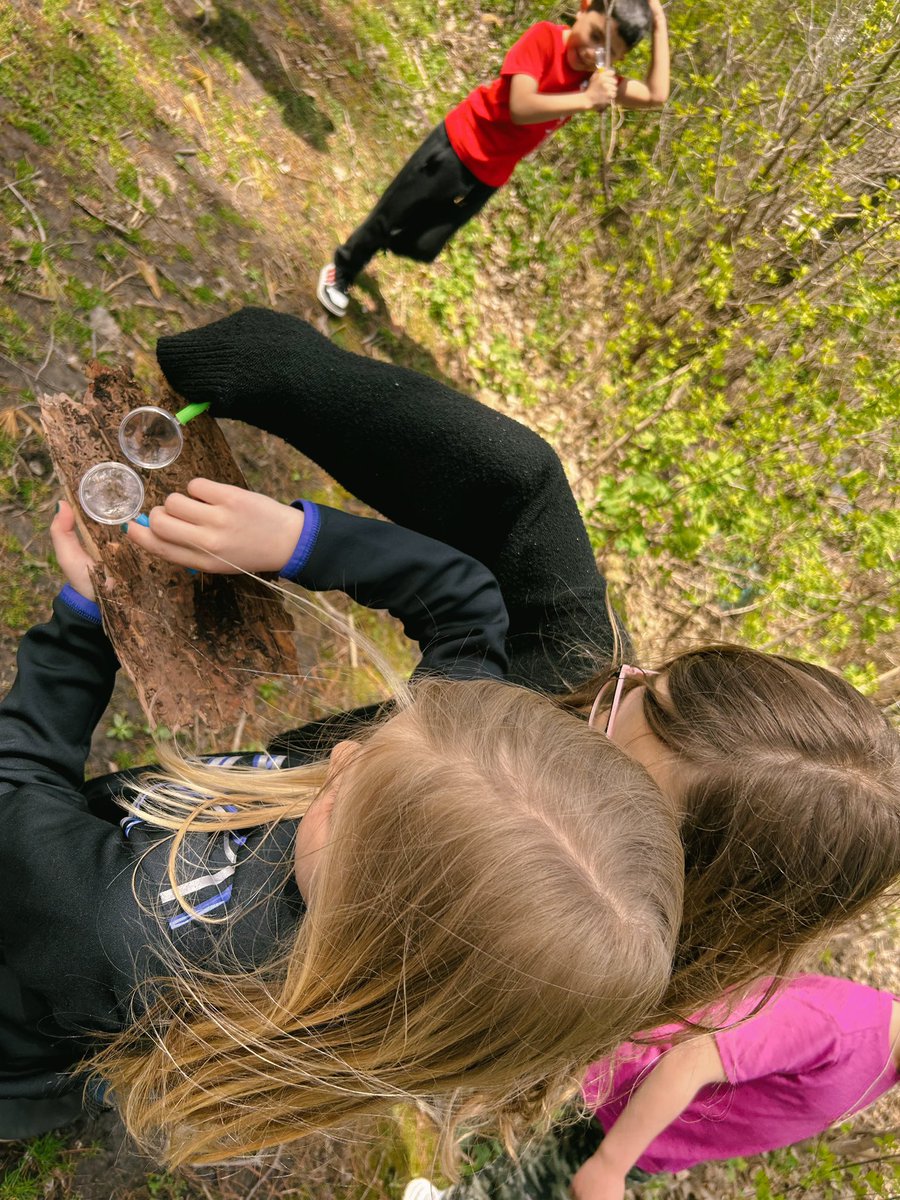 We had so much fun getting outside and exploring the “forest” for F day!🌿🌱🐛#ABCcountdown #ForestFun #LoveTheseFirsties