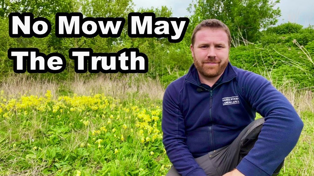 At the start of #NoMowMay, I implore that anyone undertaking this concept refrains from pulling out the mower in June, adopts a #NoMowSummer & avoids cutting everything off in its prime, including the wildlife. Here’s my latest video to explain why👇🐝🦋 youtu.be/iZRpX774ViI?si…