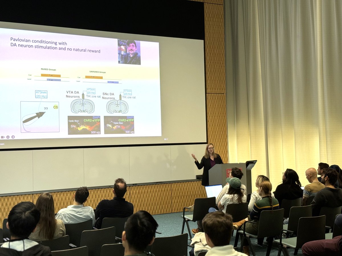 Another great @buCSNneuro seminar today, courtesy of Prof. Patricia Janak (@triciajanak) from Johns Hopkins University presenting on 'Subcortical Processing of Reward Signals'. Thanks also to Prof. @MarkHowe72 for hosting!