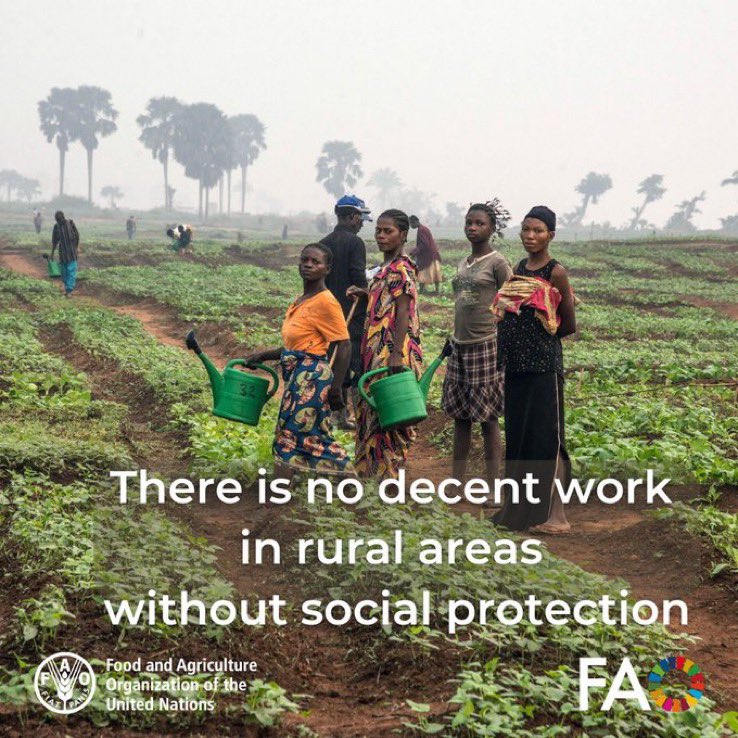 3/4 of the world’s poor live in rural areas.

Extending #SocialProtection coverage is🗝️ for decent work.

On #Labourday more here bit.ly/49YmRmp