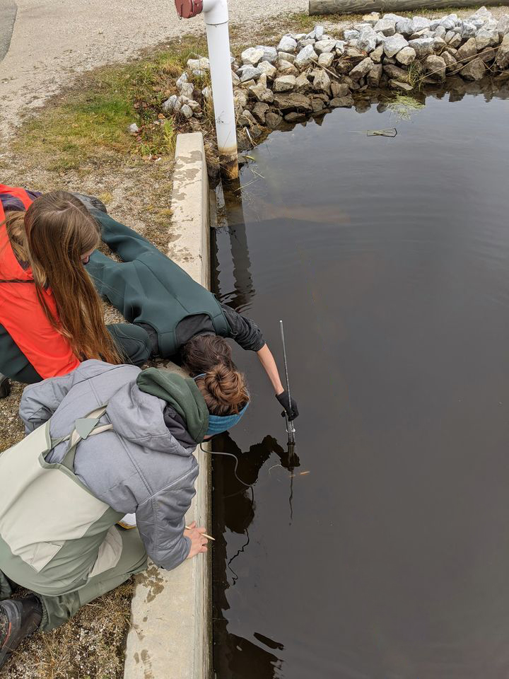 Our next #EnviroSchool for educators is May 7! Join us for an interactive session sharing the impactful results of a grant program that supports Place-, Project-, Problem-based learning on freshwater literacy. Register: bit.ly/3QDmAvT #EGLEClassroom