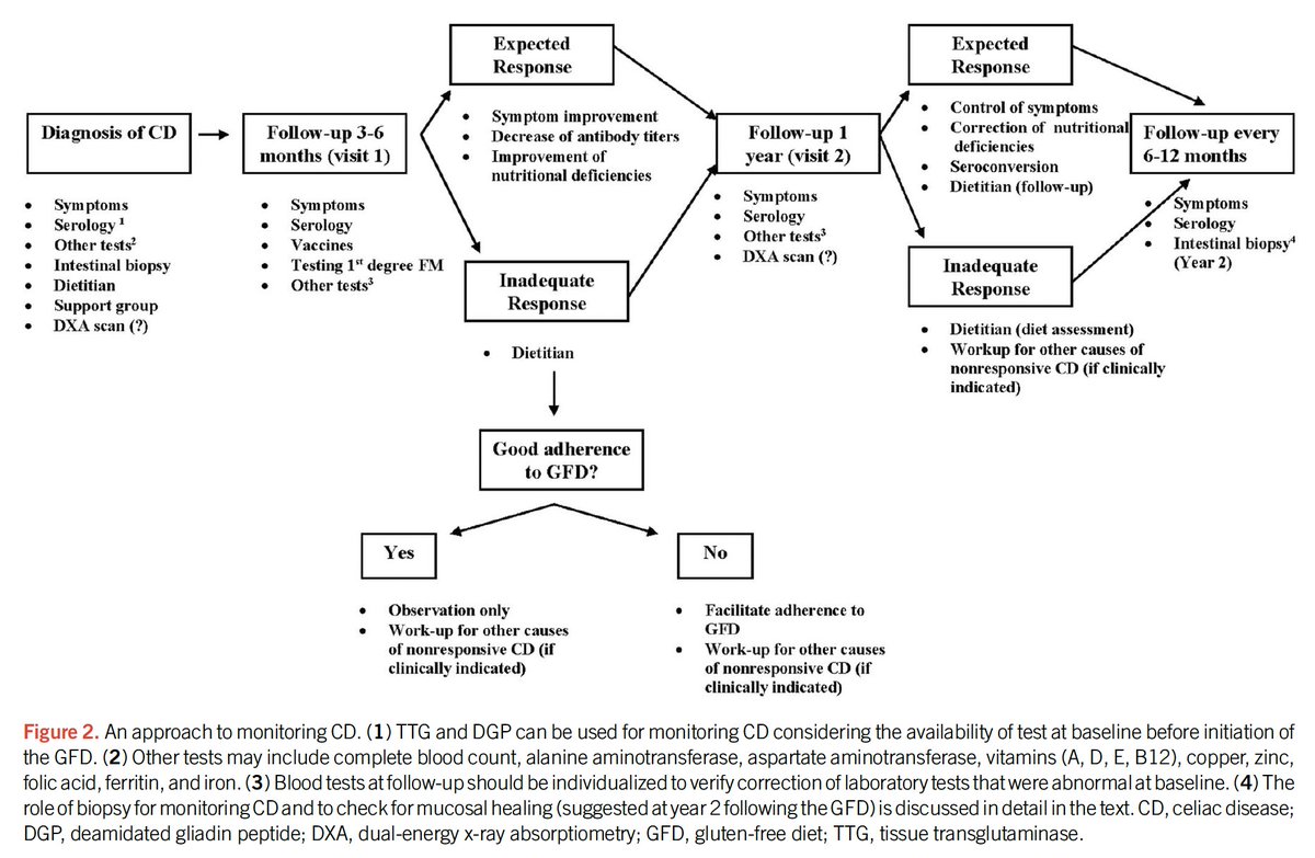 #WedGastroGuide💩 Management of Celiac Disease @AmCollegeGastro 2023 Guideline 👉 Key Points: 1⃣ ❌ Screen all patients 2⃣ Consider testing if clinical picture suggestive of possible CD❓(e.g. diarrhea, weight loss, abdominal pain, bloating, chronic IDA, etc). 3⃣ Initial…