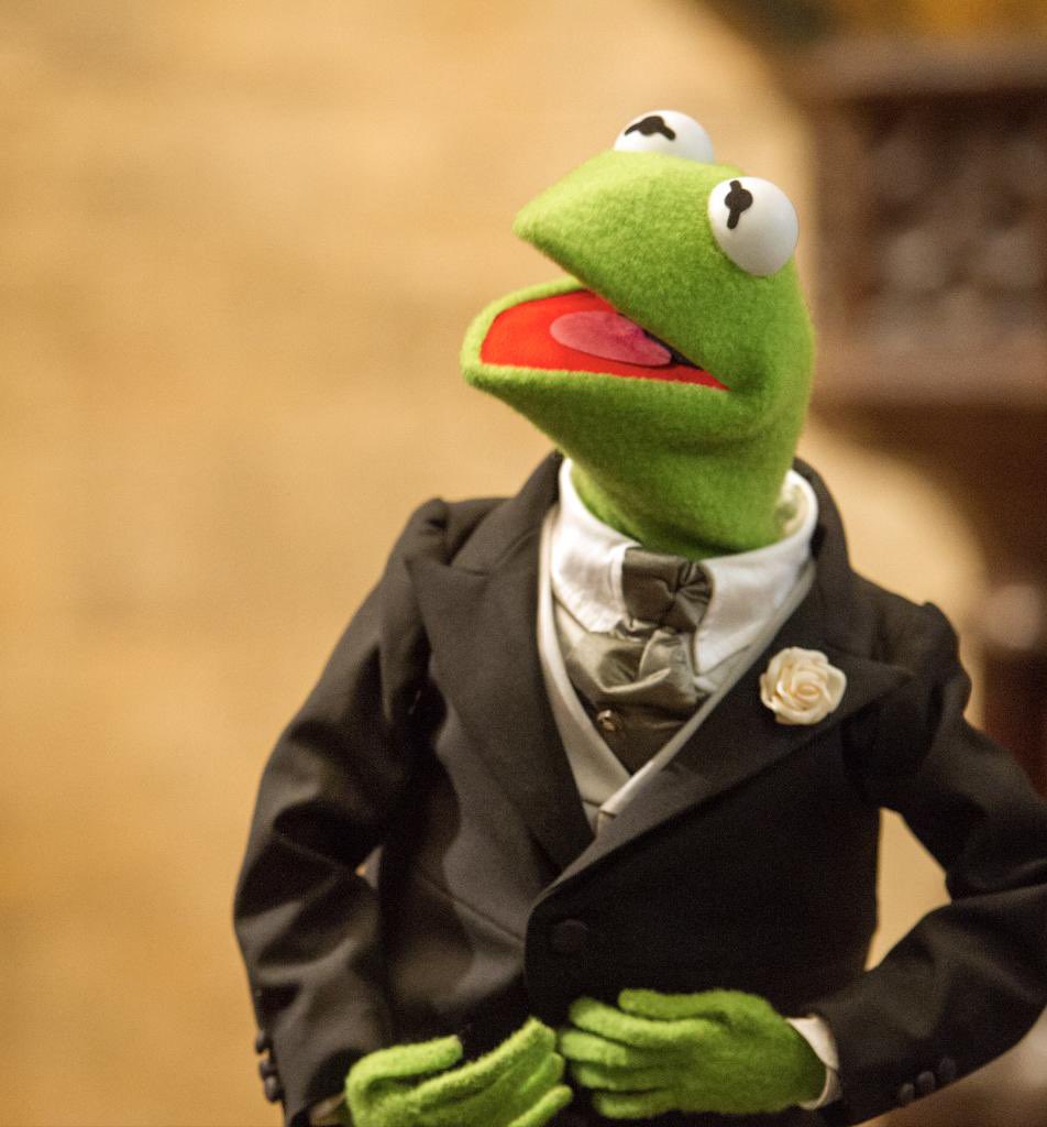 KermitSpl's tweet image. Damn straight