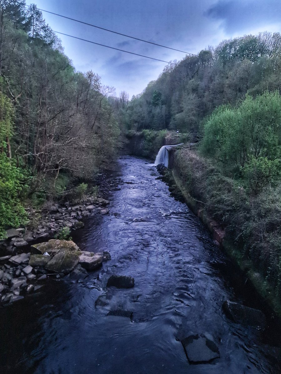 Evening Spring 🌳 Walks 🚶‍♂️ 🚶‍♀️ ...